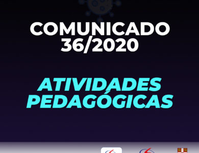 ATIVIDADES PEDAGÓGICAS – 2º ANO – Colégio Liceu Salesiano