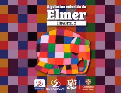 Elmer, Cores e Formas