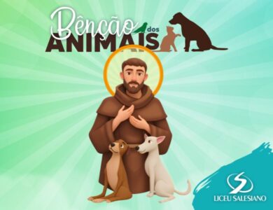 Dia 27/09 celebramos o amor e o cuidado pelos nossos “amigos animais”!
