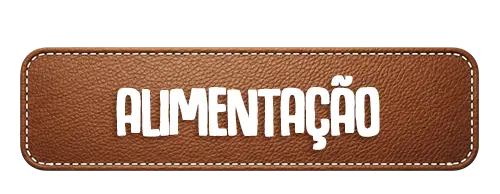 ALIMENTAÇÃO